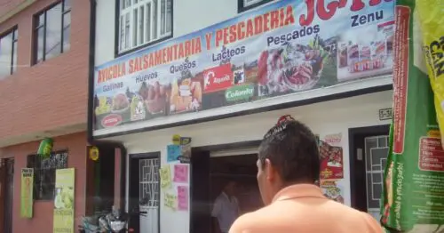 AVICOLA SALSAMENTARIA Y PESCADERIA JGTR AVICOLA SALSAMENTARIA Y PESCADERIA JGTR